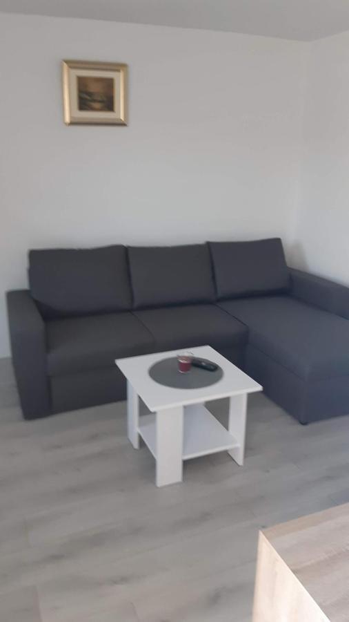 Apartman Abramovic Topusko Exterior foto